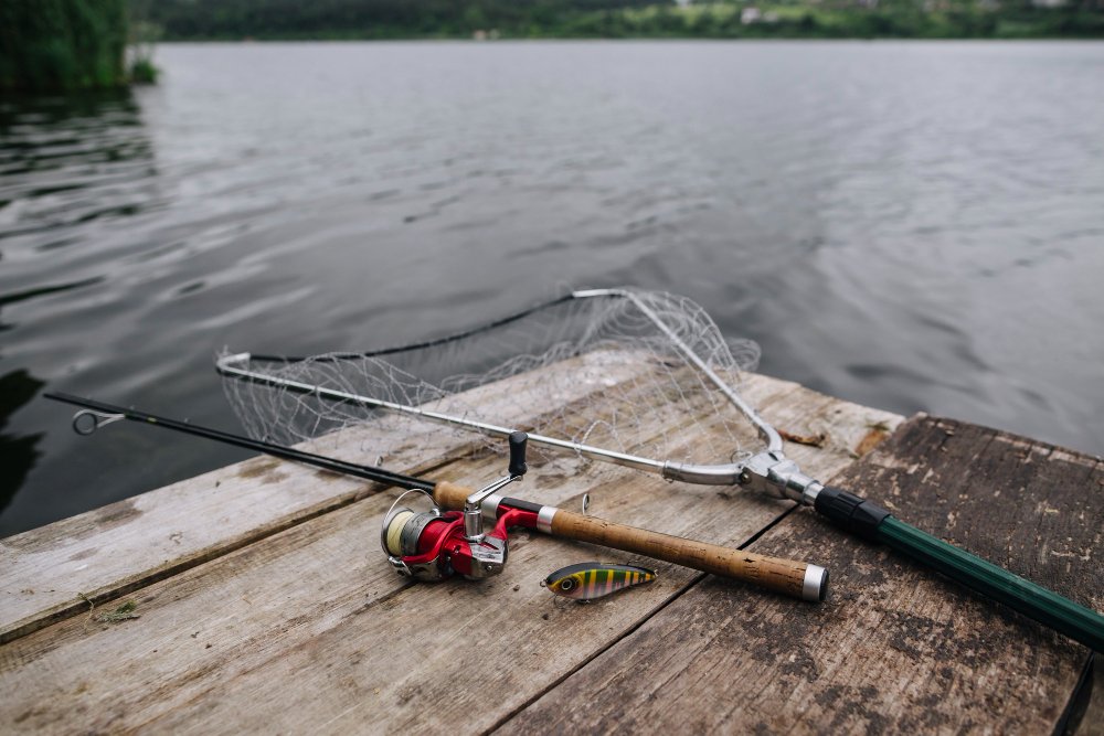 How to Recognize and Avoid Catfishing: A Guide for Online Daters